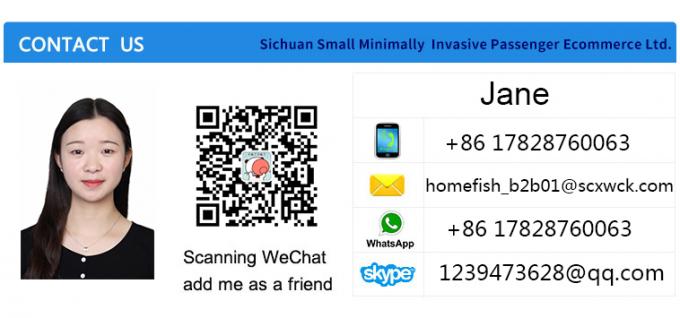 Homefish OEM Khí khí carbon hoạt động Khí khí mini Anion di động 3800 Rpm 19