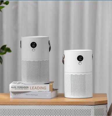 Giá tốt HOMEFISH Khói Pm2.5 Ion âm Máy làm sạch máy tính để bàn Máy lọc không khí trực tuyến