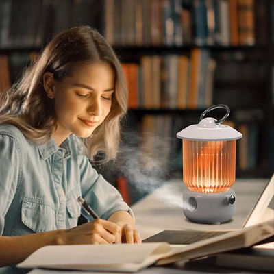 Giá tốt HOMEFISH Máy làm ẩm không khí USB chạy pin 260ml trực tuyến